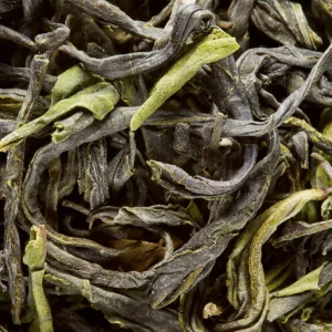 Printemps sur le Lac