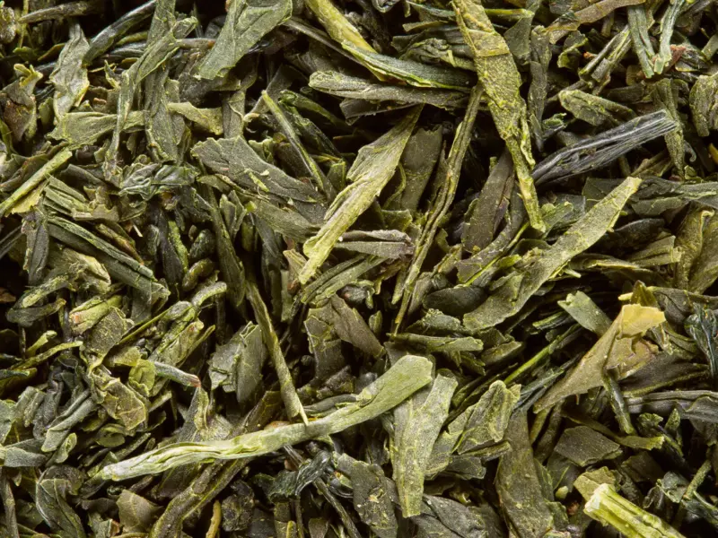 Sencha Fukuyu