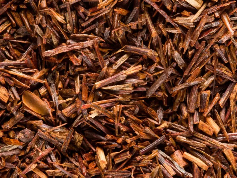 Rooibos Vanille