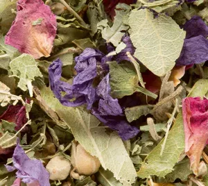 Tisane des merveilles