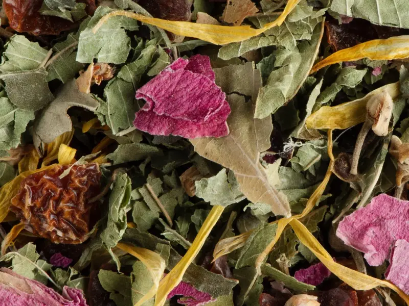 Tisane Nuit à Versailles