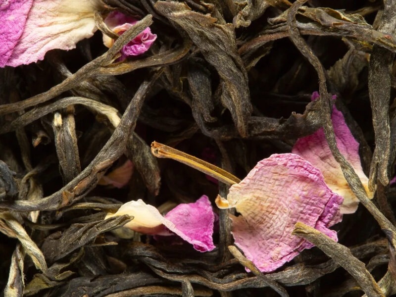 Passion de fleurs